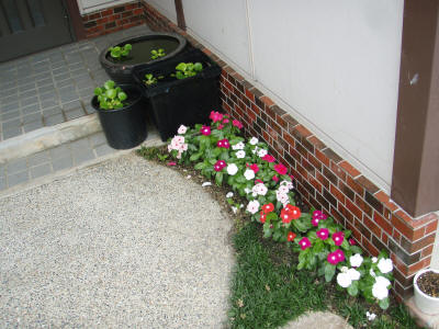 基礎周りの花壇